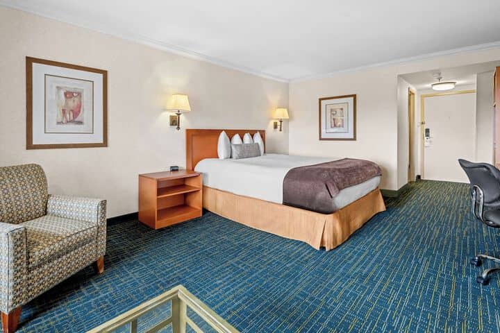 Room 16 of 59